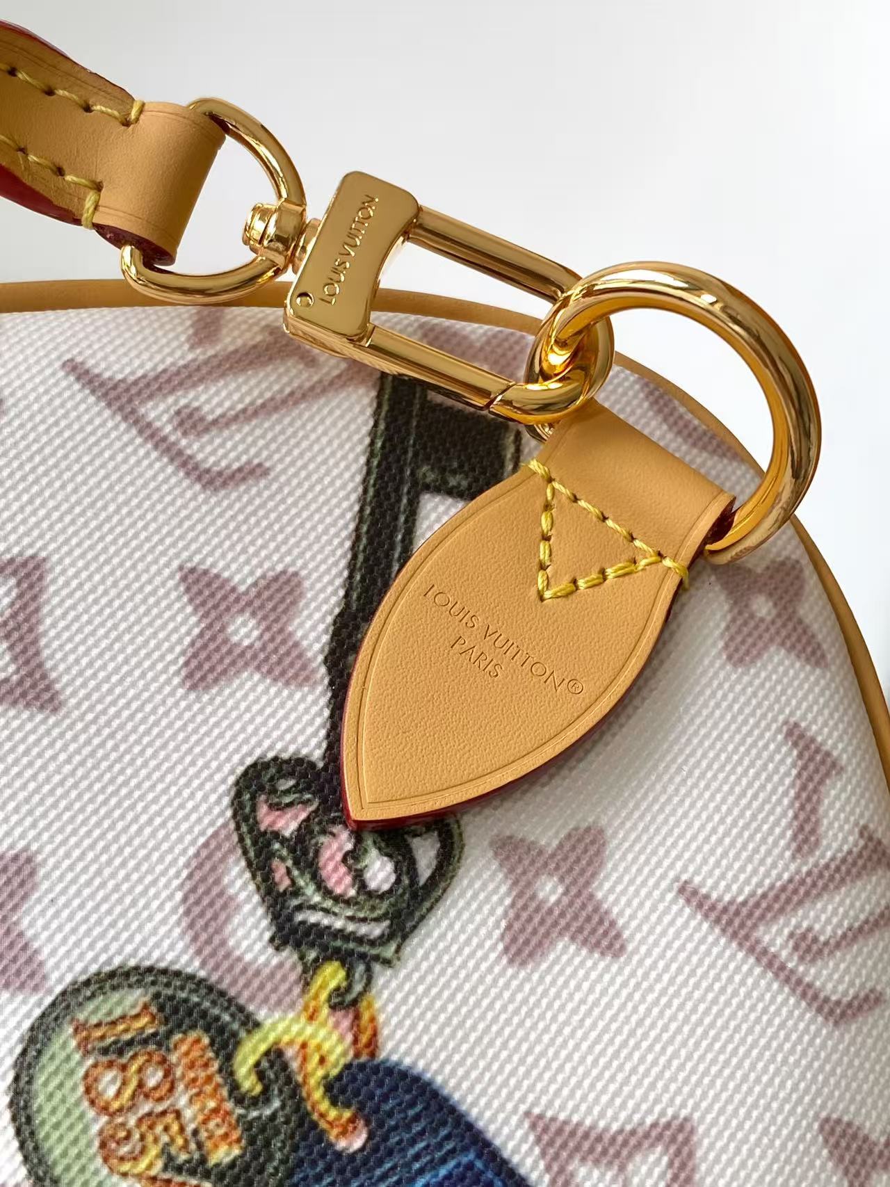 Louis Vuitton Speedy Soft 30 Monogram Boho handbag