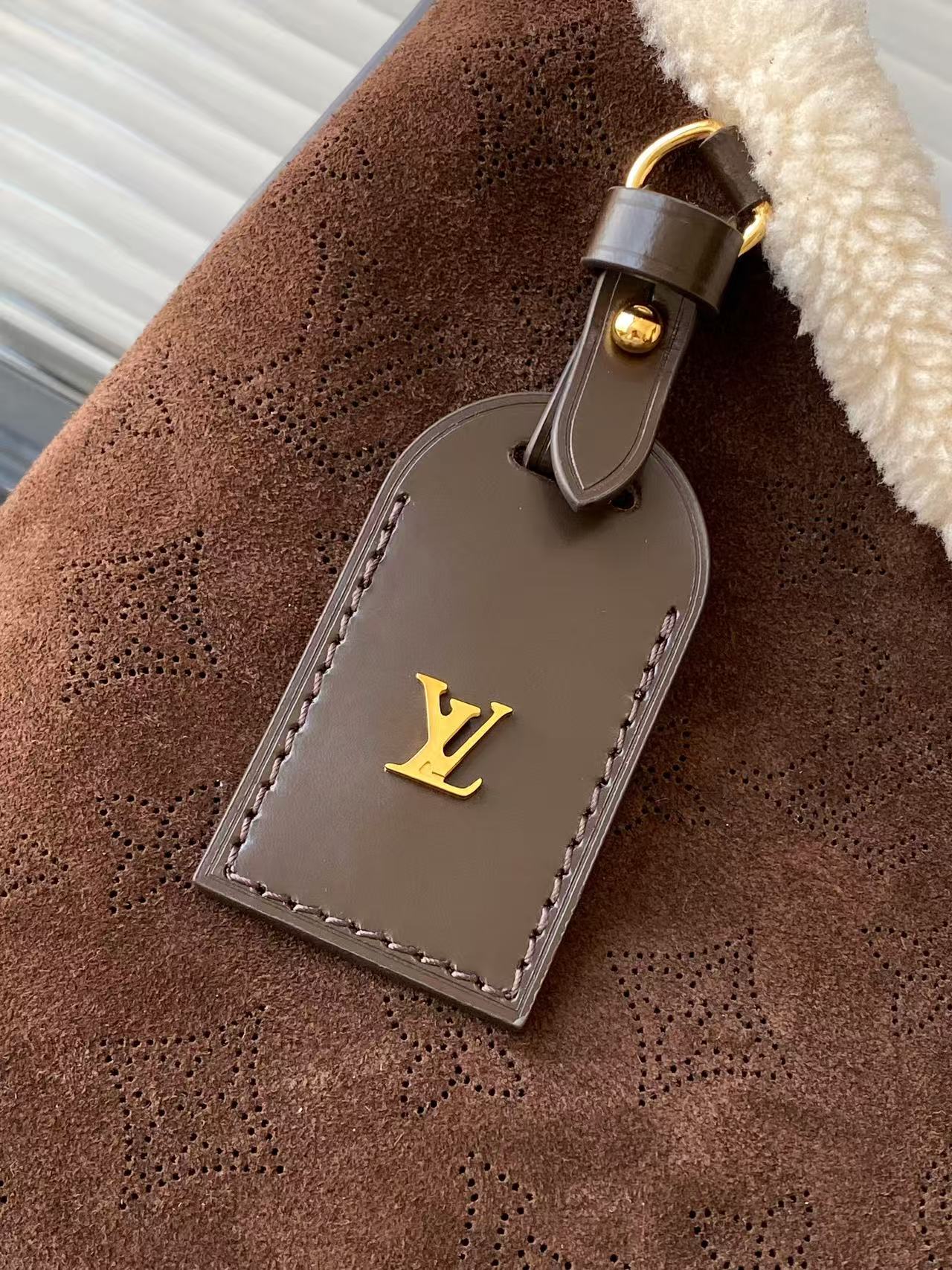 Louis Vuitton Ski Carry All Small Handbag