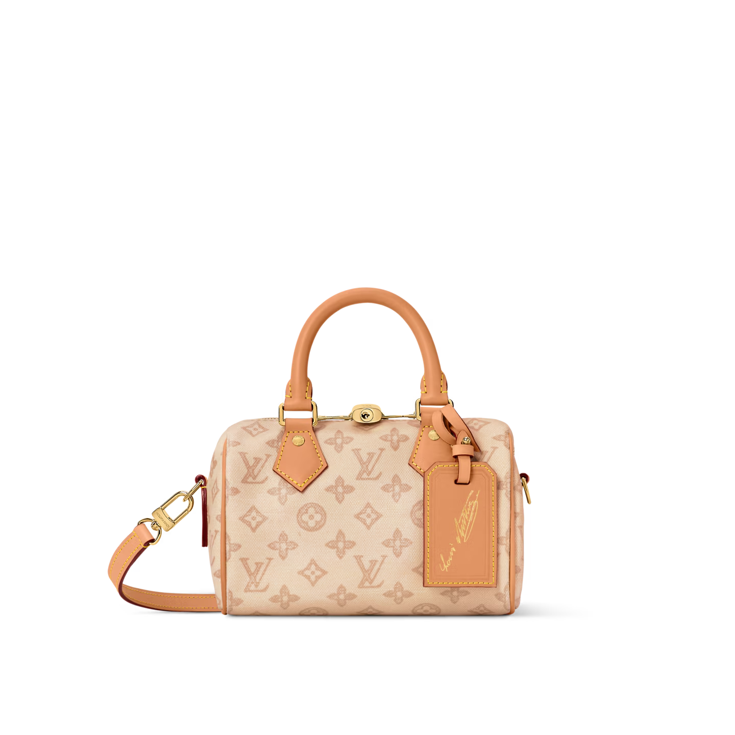 Louis Vuitton LV SPEEDY BANDOULIÈRE 20 Bags