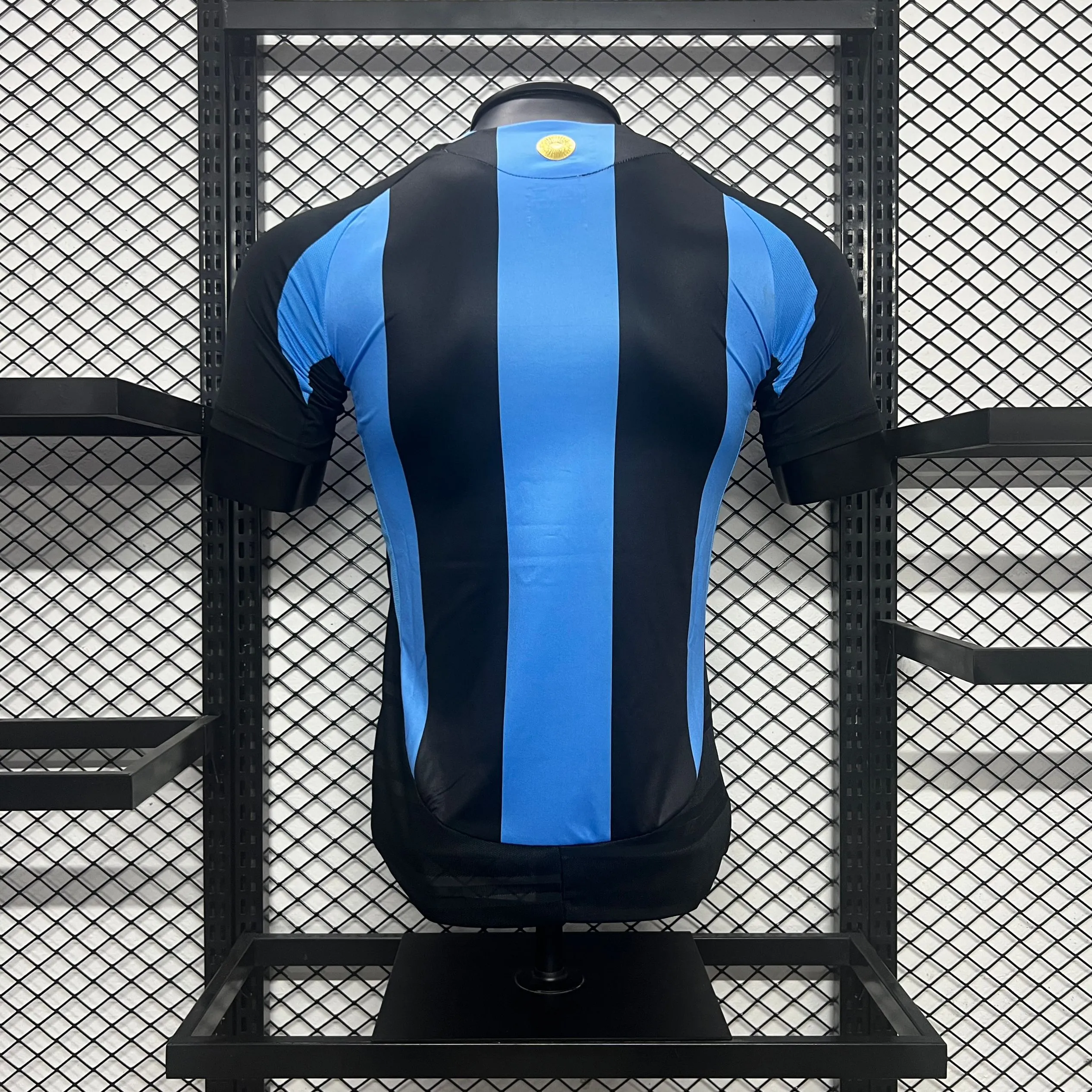Player Version  Argentina 24/25 Special