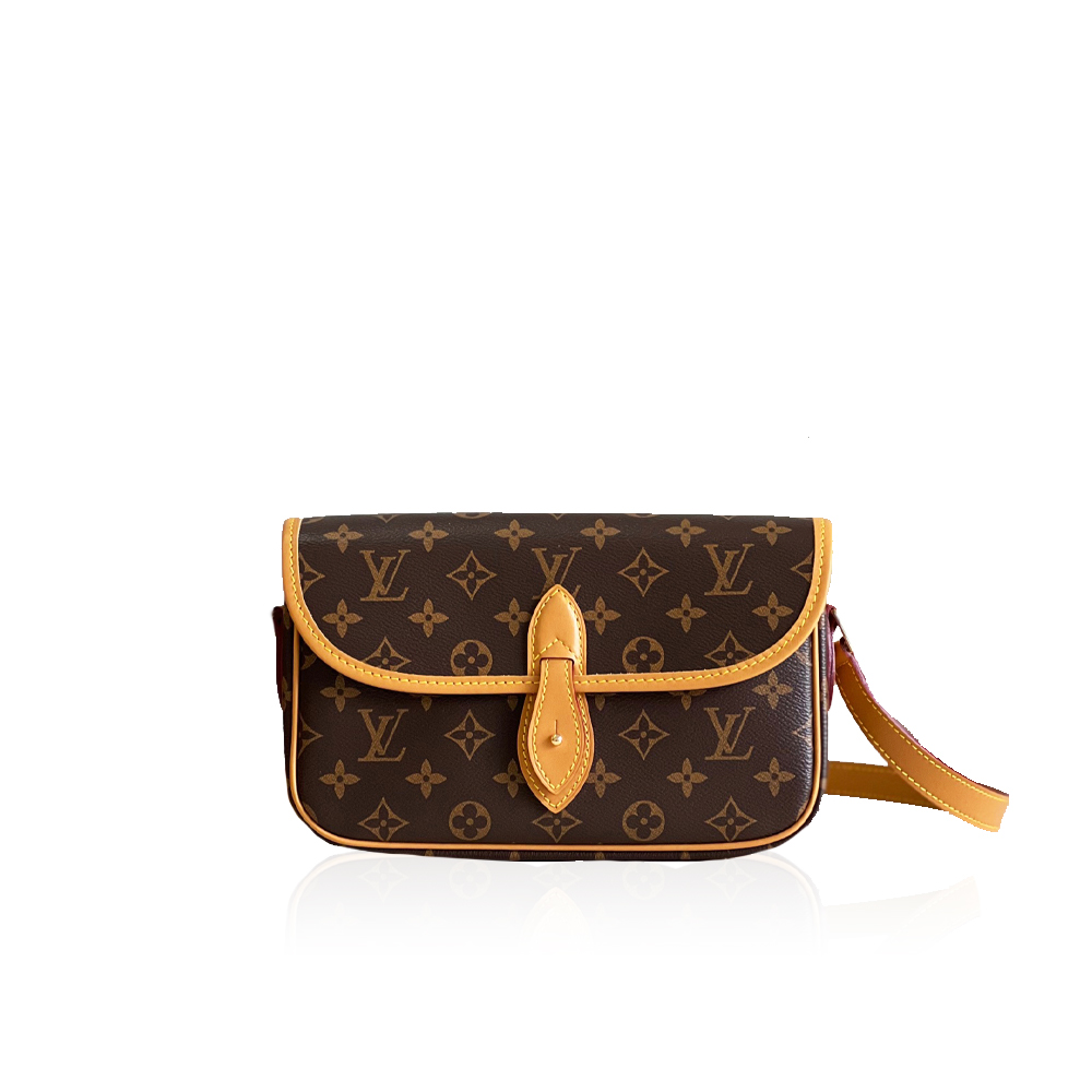 Louis Vuitton LV Gibeciere PM Shoulder Bag M42248