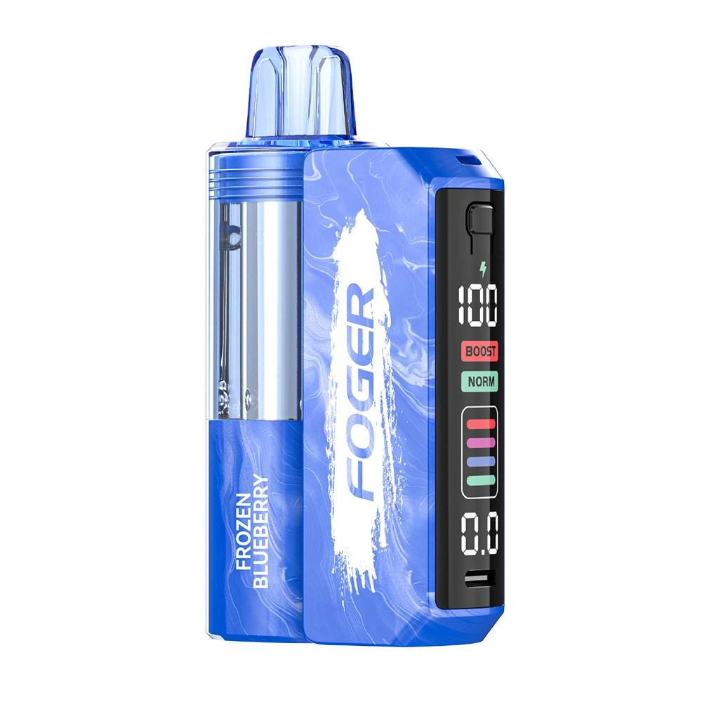 Foger Switch Pro 30000 Puffs Kit - Frozen Blue Berry