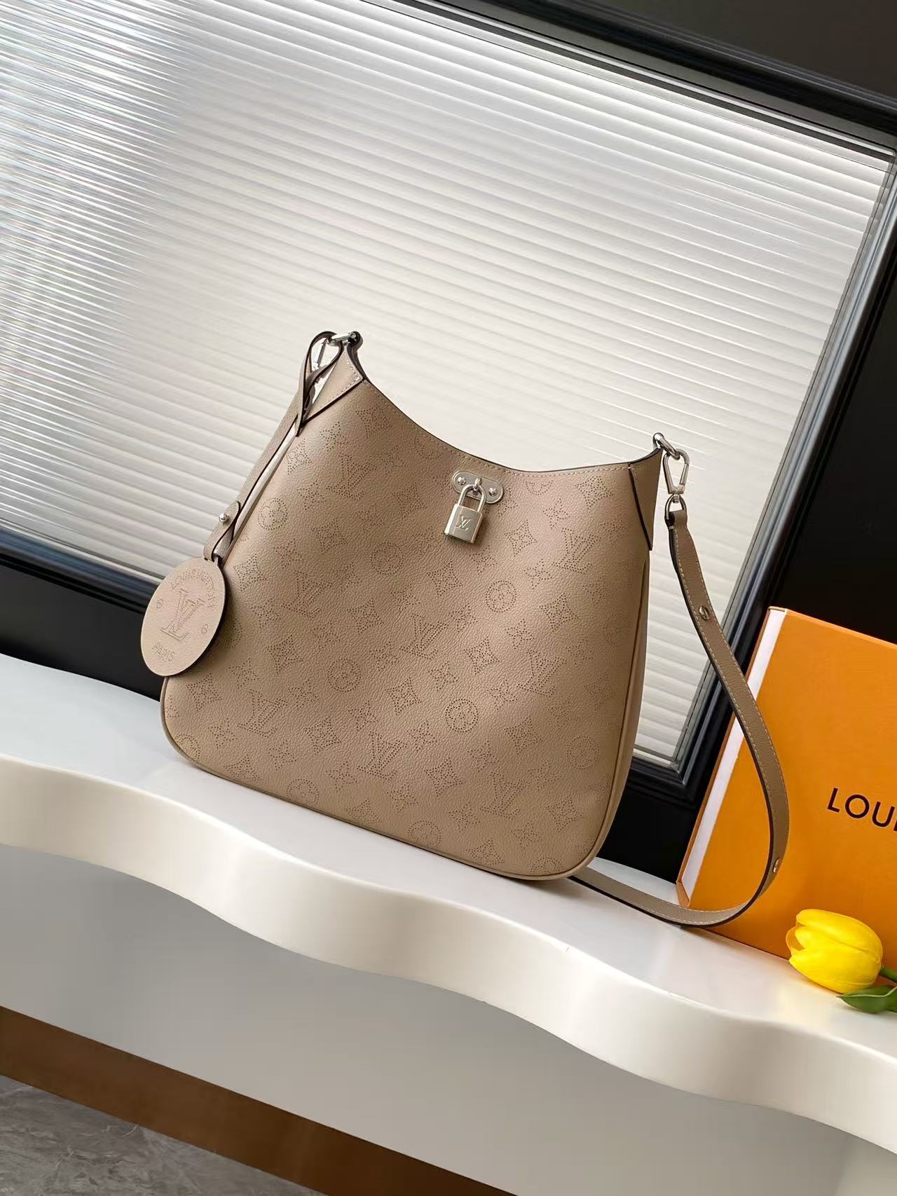 Louis Vuitton LV ALL AROUND
