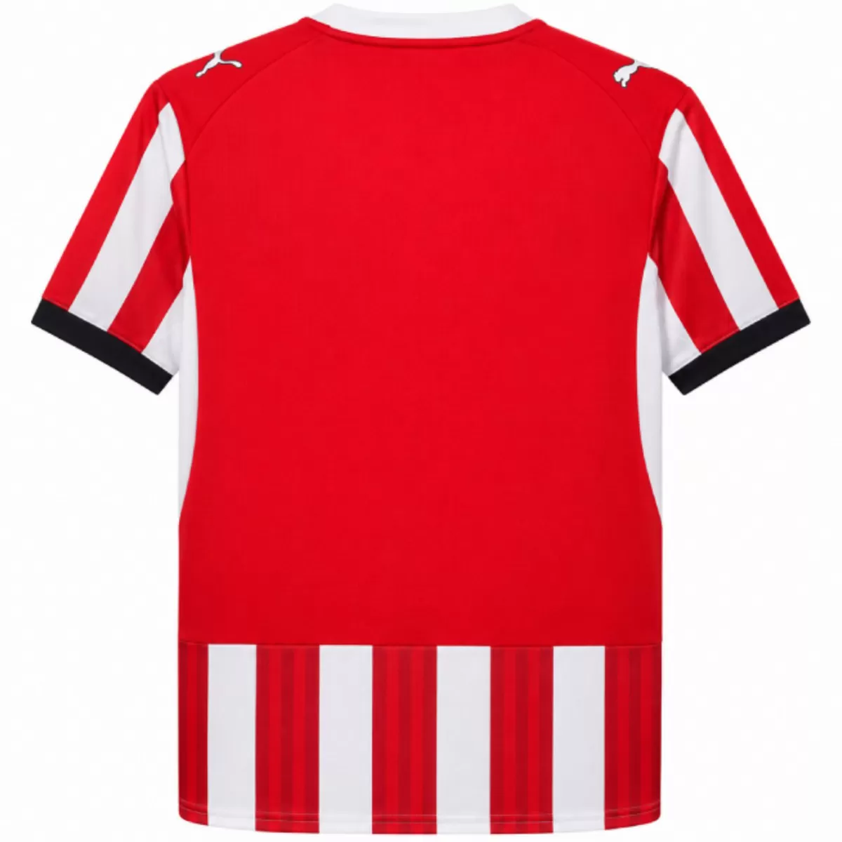 Southampton Home Jersey Fan Version 26/27