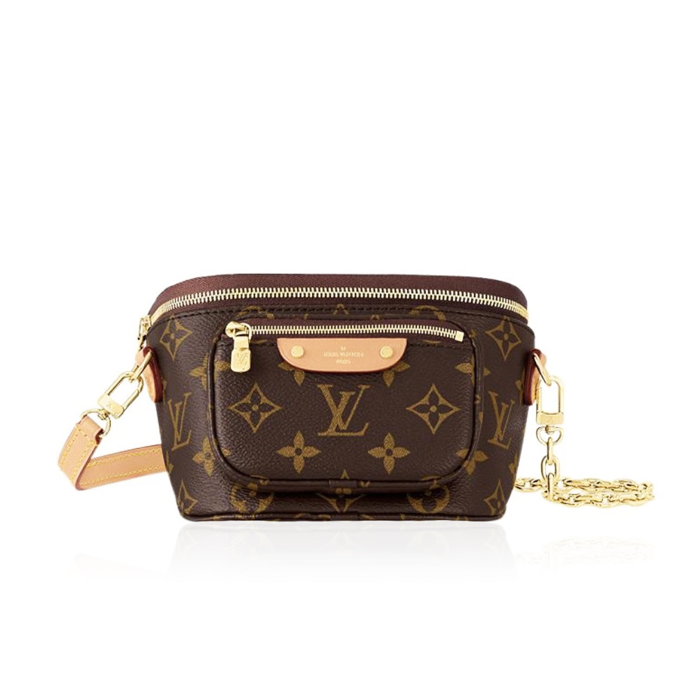 Louis Vuitton LV Bumbag Bag