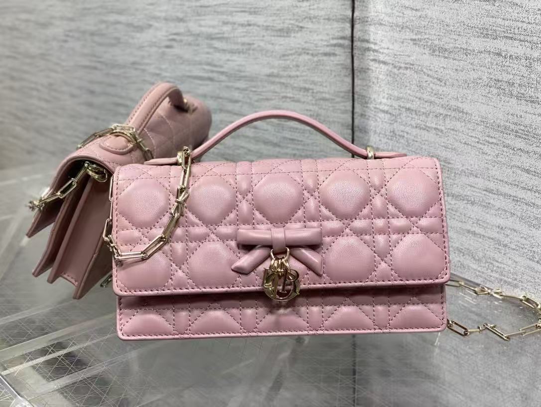 Dior new bow and vine patterned crossbody bag