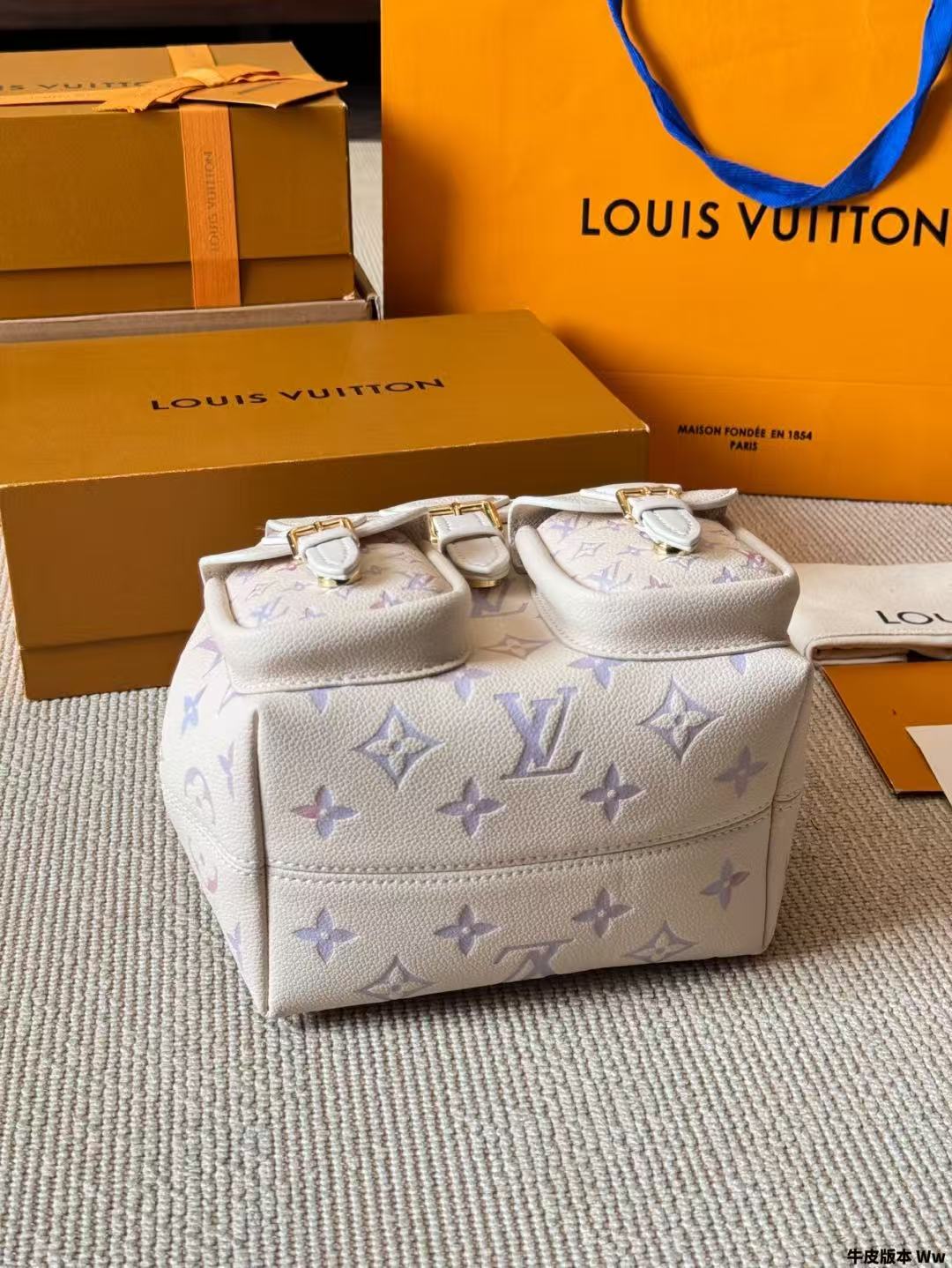 Louis Vuitton Bags lv Backpack