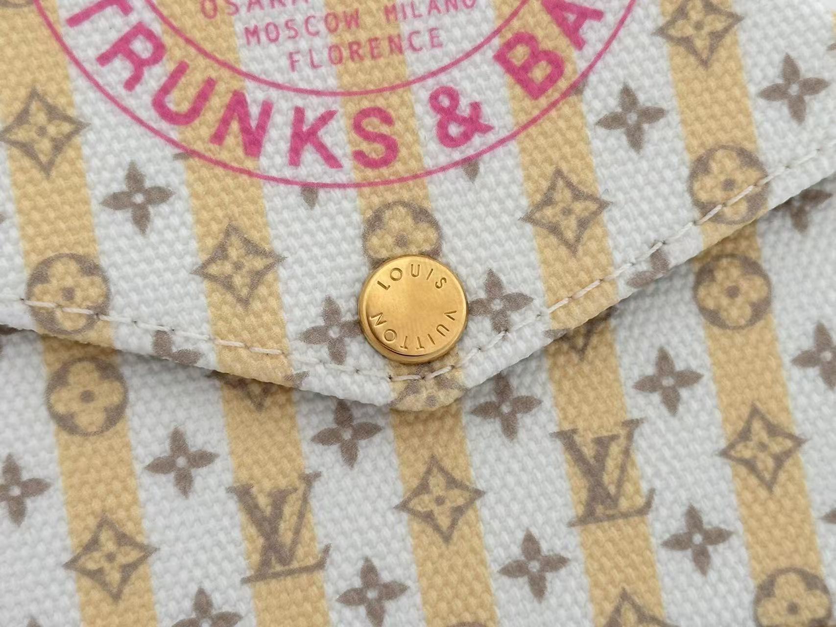 Louis Vuitton LV Felicie Pochette WOC Chain bag