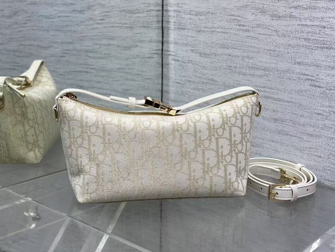 DiorTravel Nomad Clutch