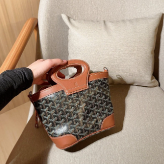 Goyard mini handbag