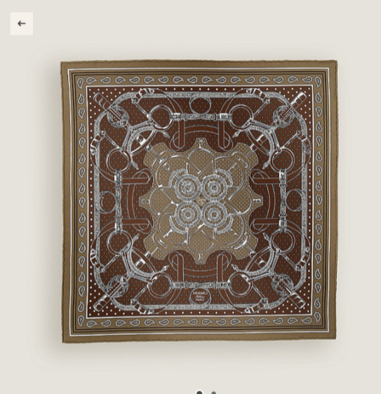 Hermes Silk Square 90cm