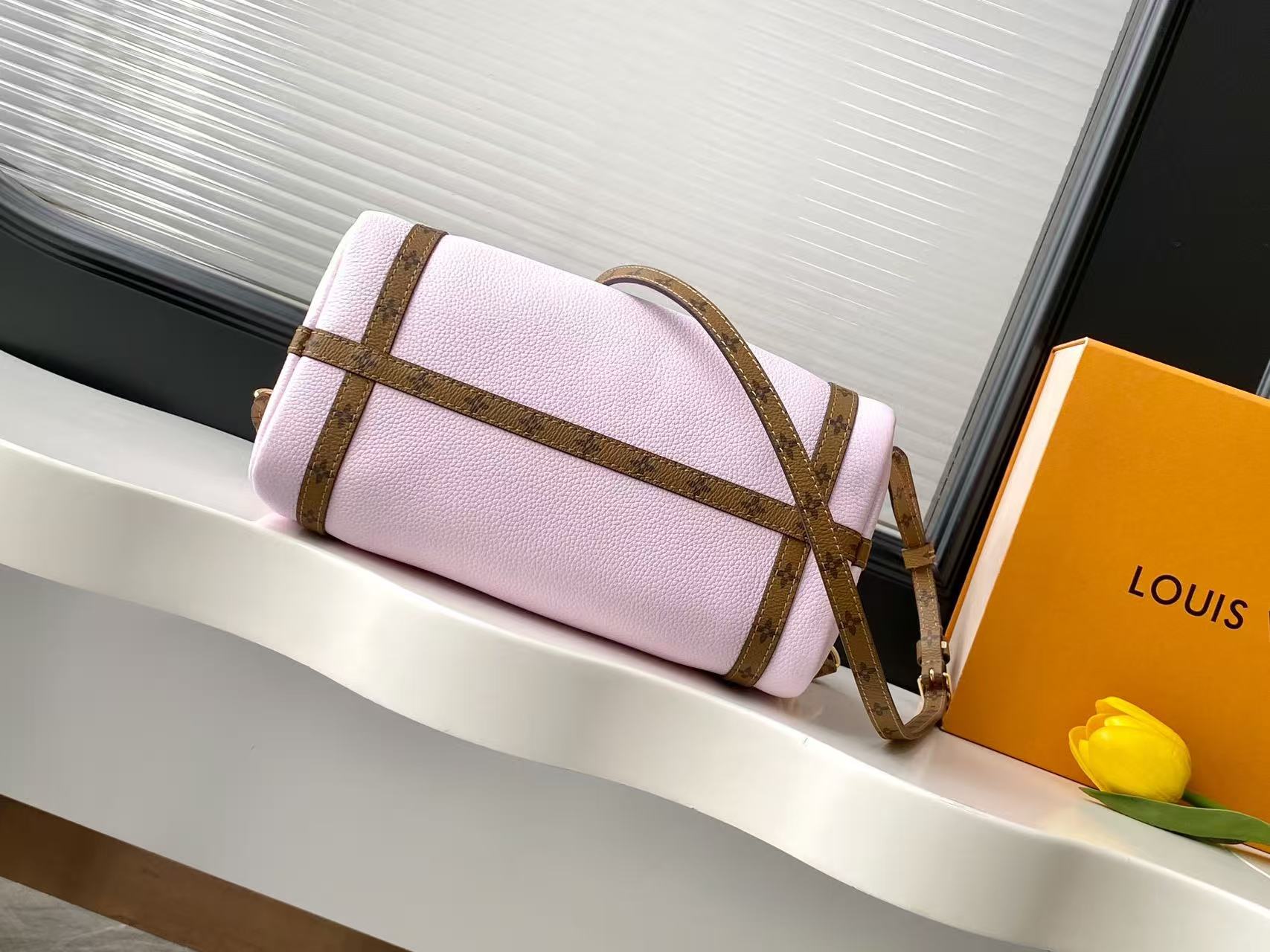 Louis Vuitton LV EXPRESS Bags