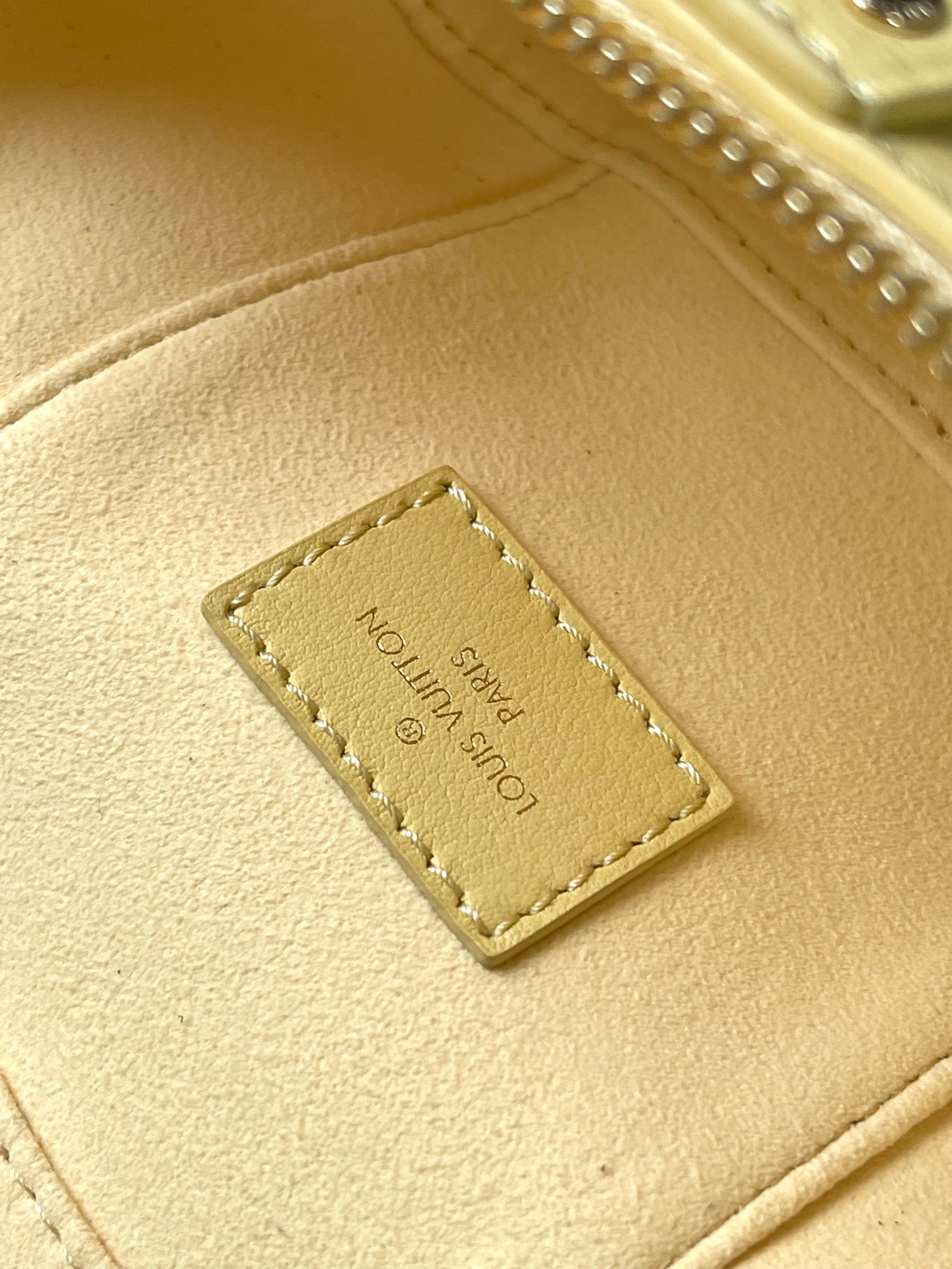 Louis Vuitton Vanity Pouch handbag