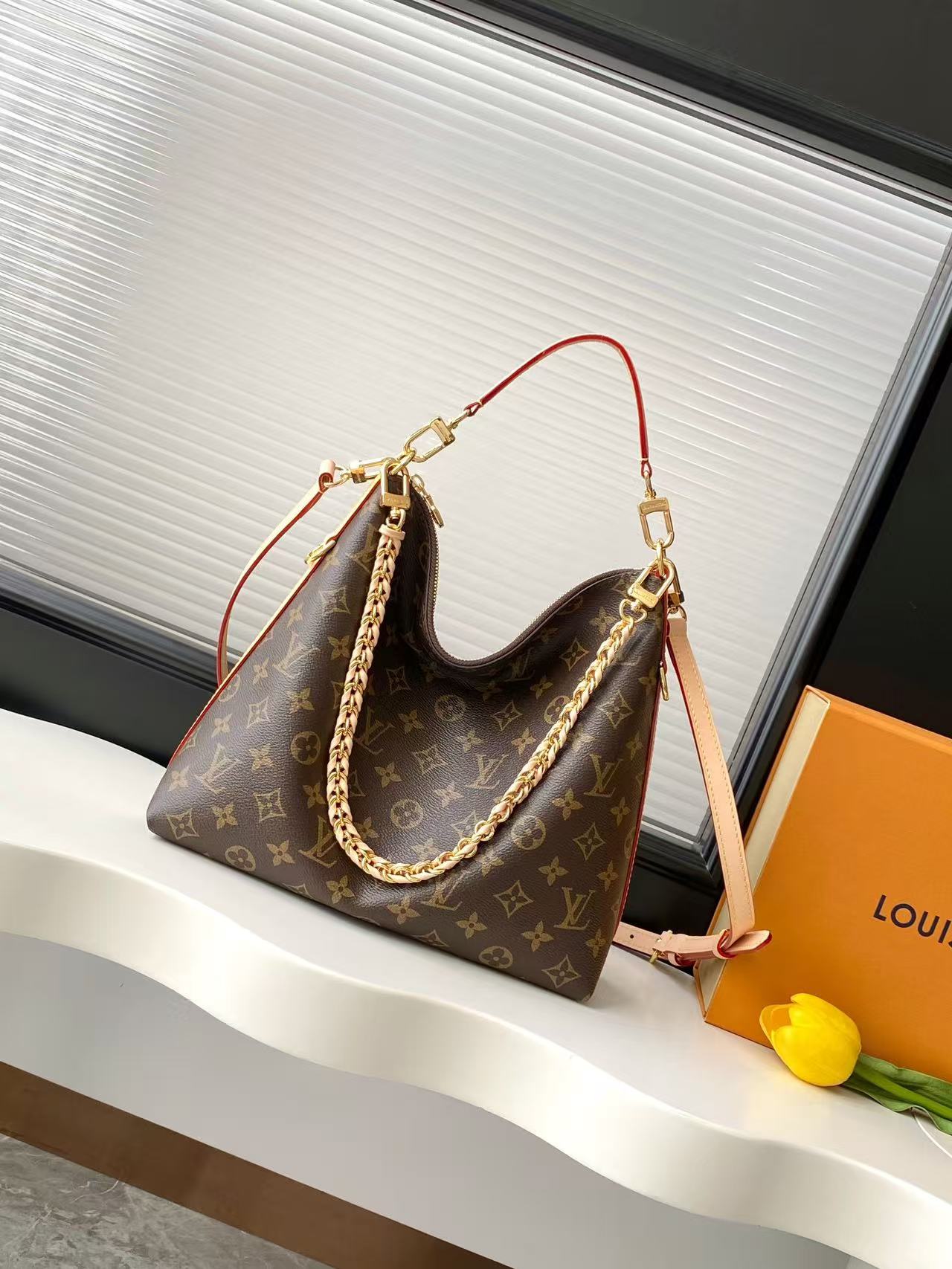 Louis Vuitton LV MULTIPASS Bag