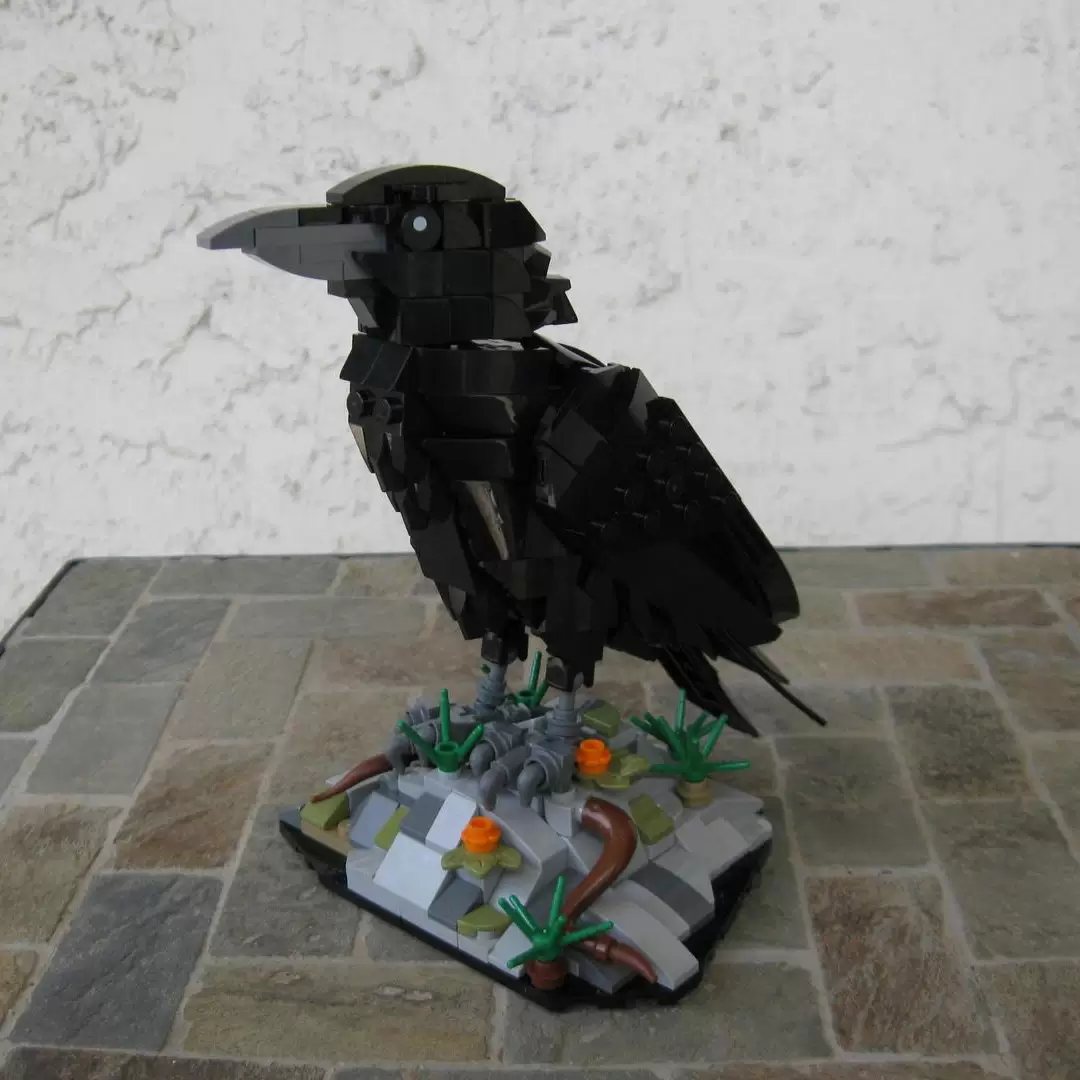 MOC 217187 - Raven