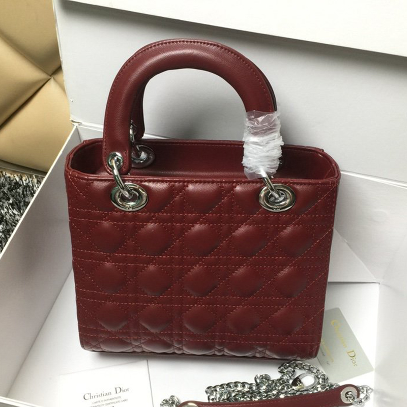 Dior The LADY D-LITE Bag  AAA Quality
