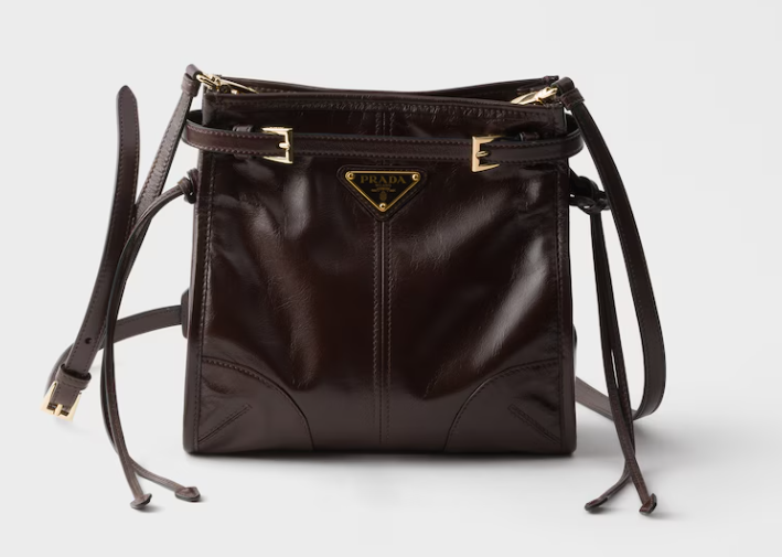 Prada Bonnie leather mini shoulder bag-Dark brown 1BH229