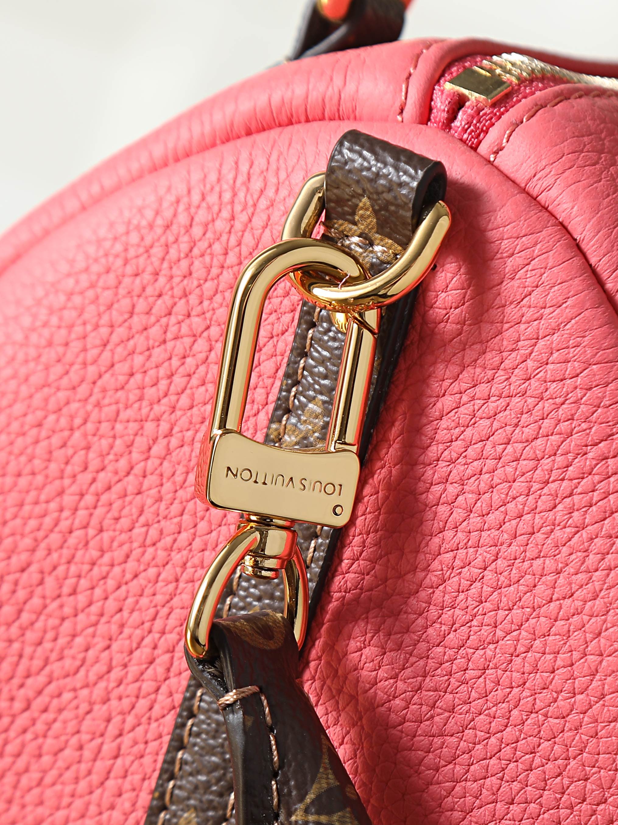 Louis Vuitton Express Small Handbag