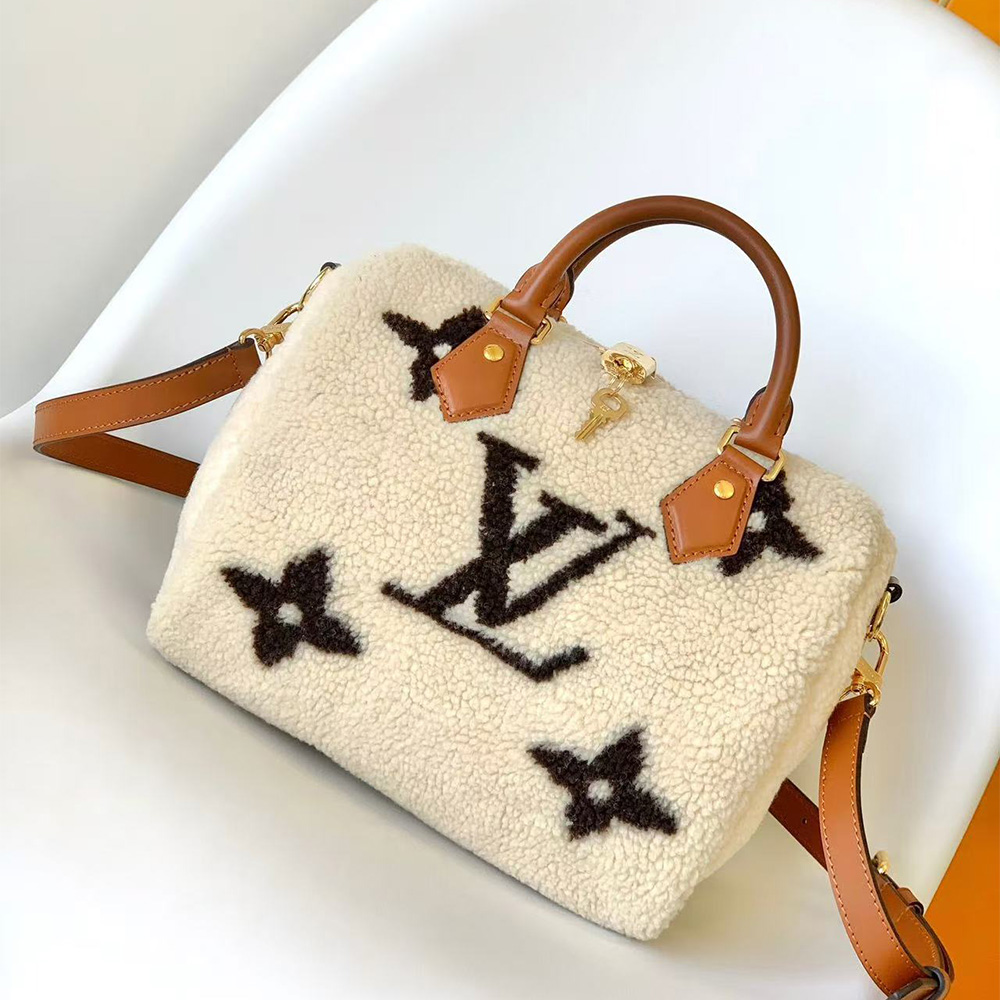 Louis Vuitton LV Speedy Bandoulière 25 bags