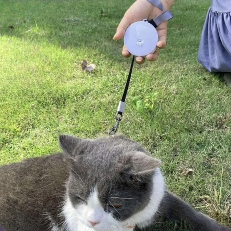 Automatic Retractable Mini Dog Leash