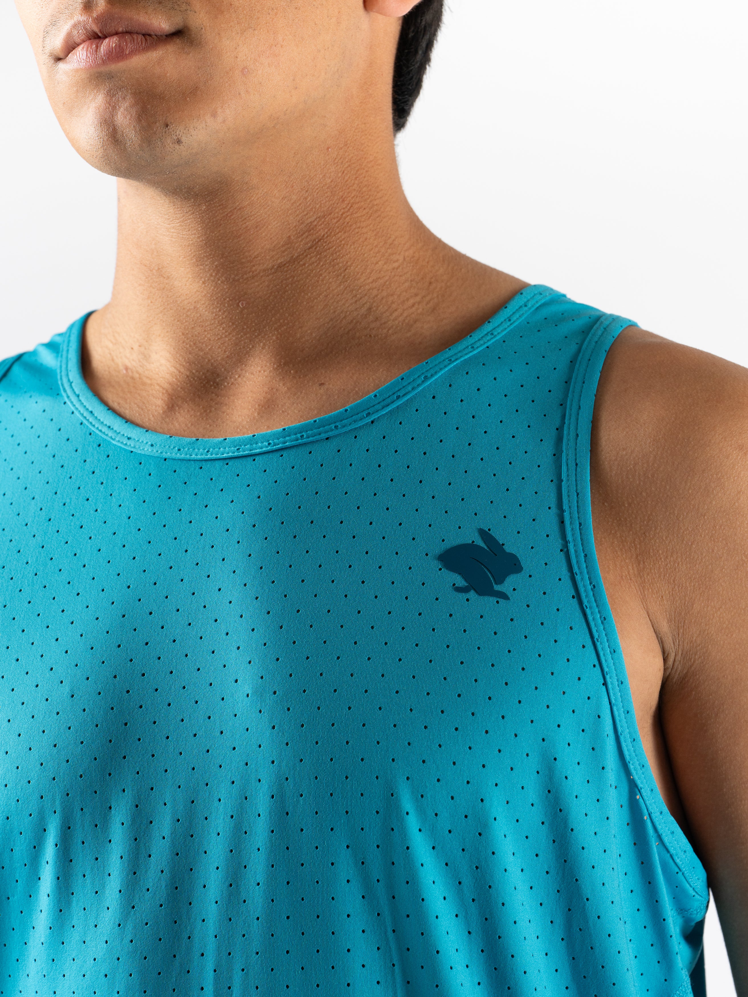 Ice Perf Tank