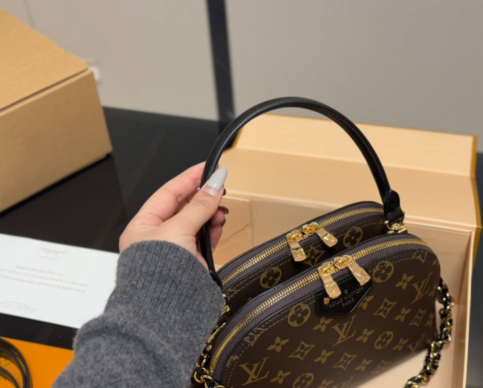 Louis Vuitton LV Versatile Classic Shell Bag