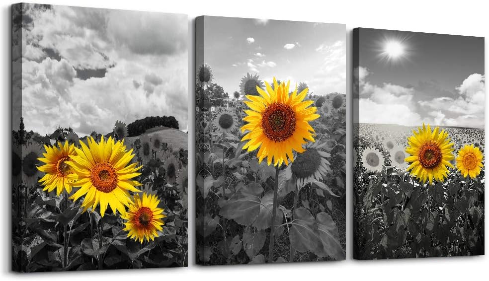 Canvas Wall Art - Family Wall Decor, Kitchen & Bedroom - Black & White Pastoral Scenery - Sunflower Flowers - 16x12, 3 Piece