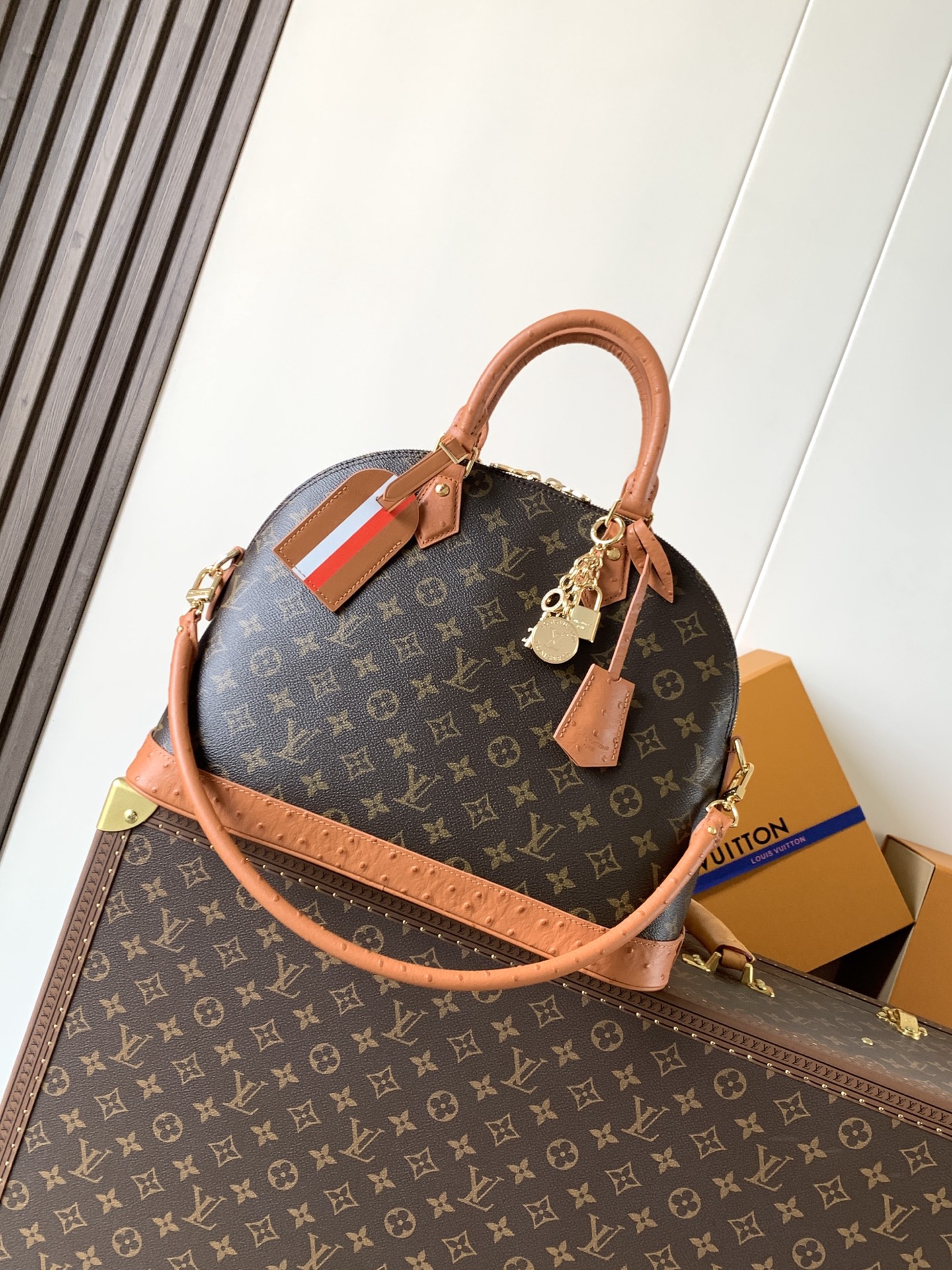LV Louis Vuitton N30049 Alma MM Soft Celebration