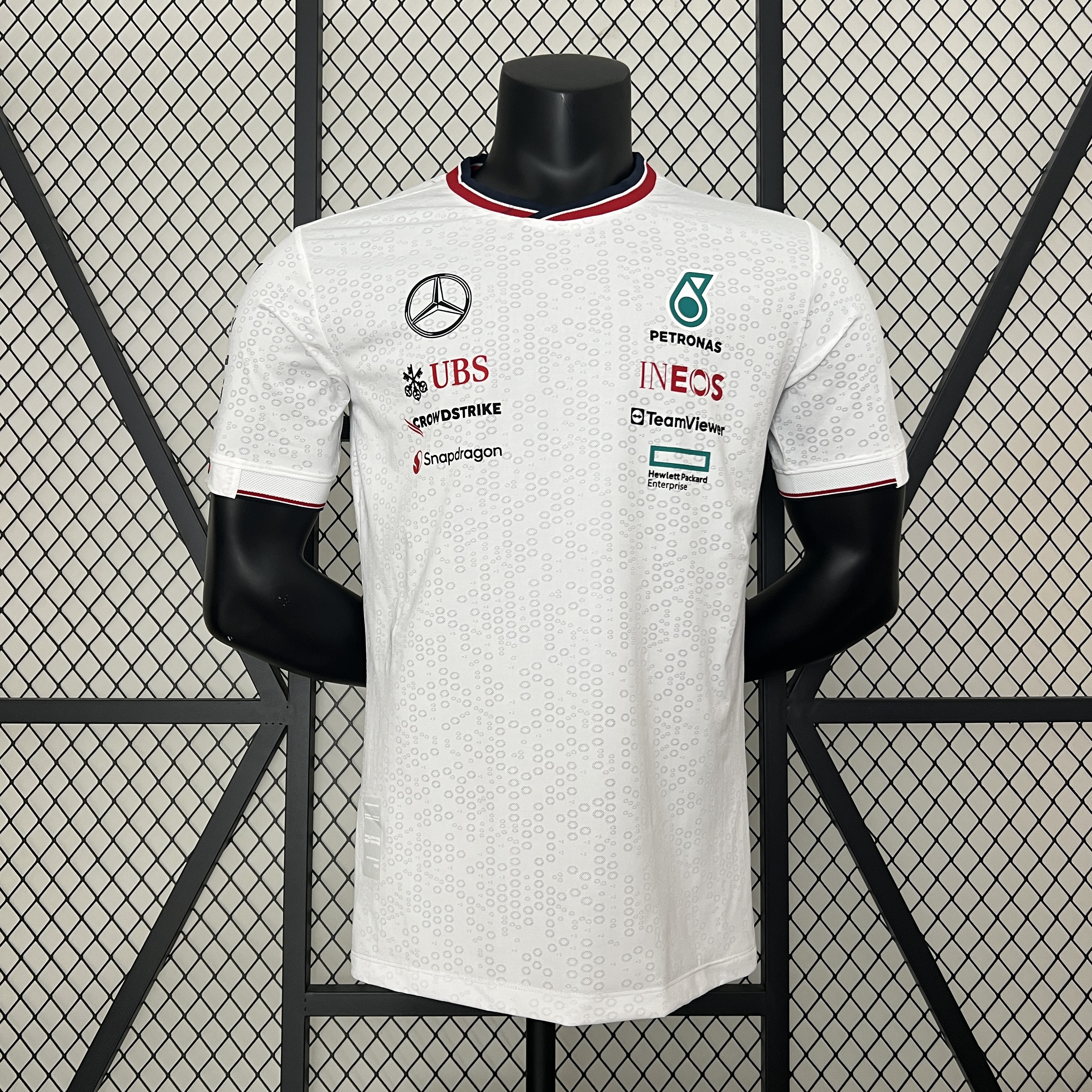 2024 F1 Mercedes-AMG Petronαs S-5XL