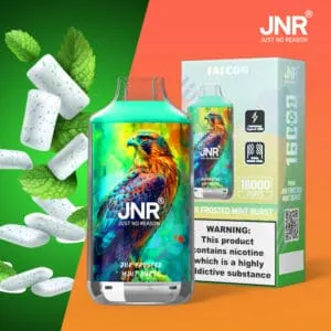 JNR Falcon 16K Rechargeable Disposable Vape – Frosted Mint Burst