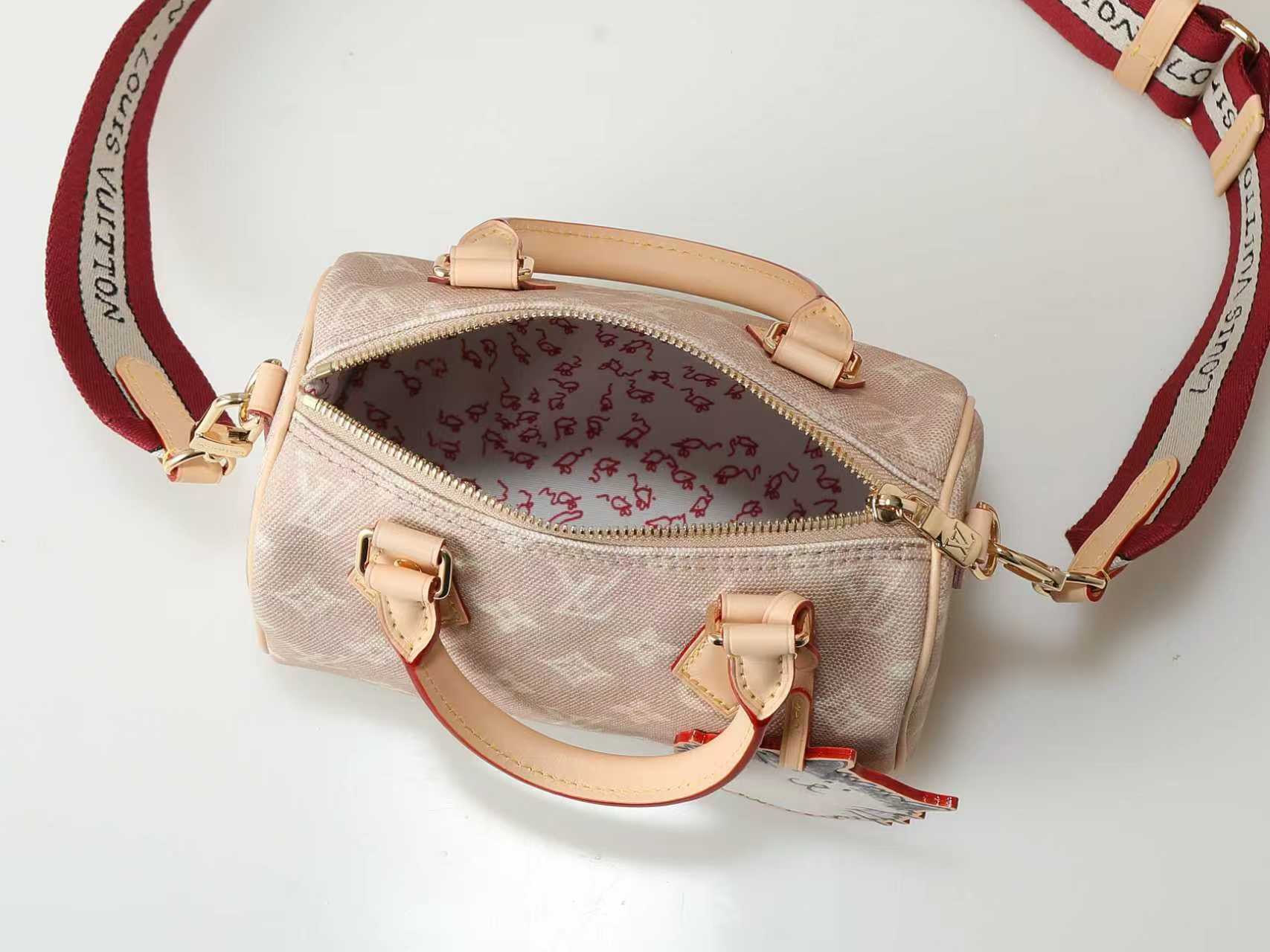 Louis Vuitton Speedy 20 Bandoulière handbag