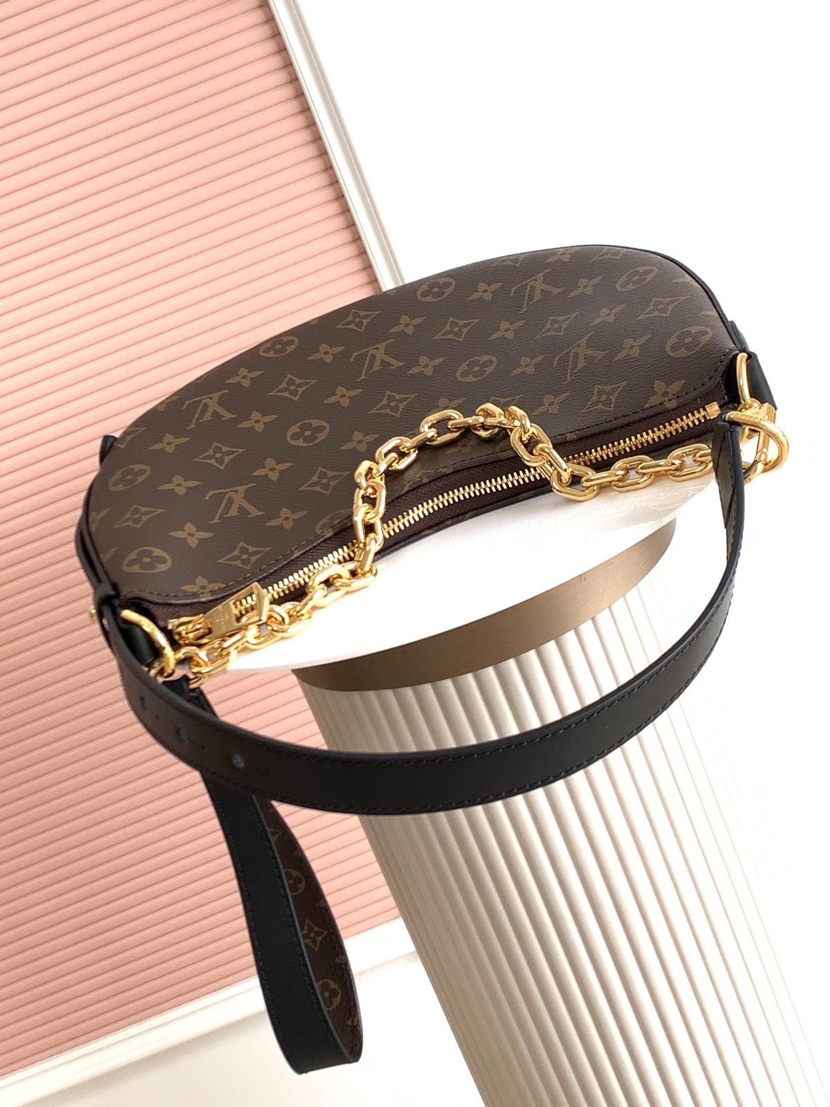 Louis Vuitton LV classic printed hobo bag