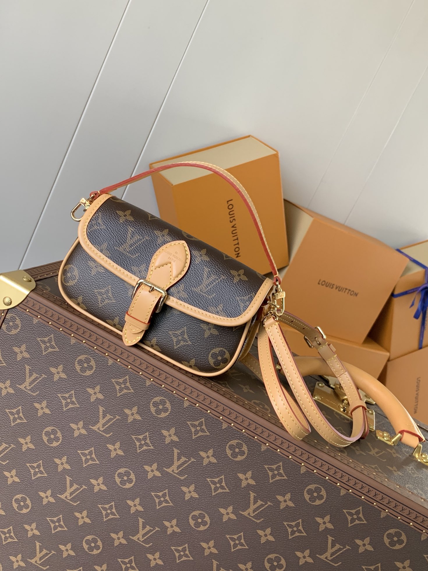 M83298 Nano Diane in Monogram Canvas