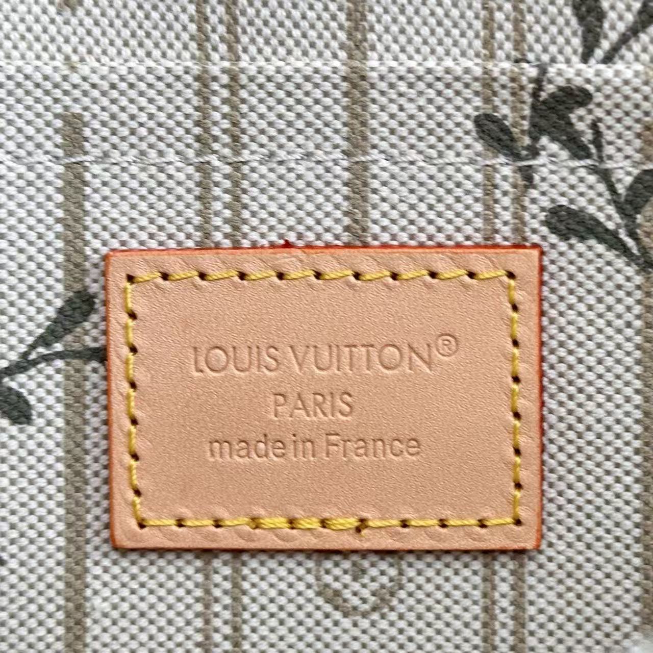 Louis Vuitton LV Felicie Pochette WOC Chain bag