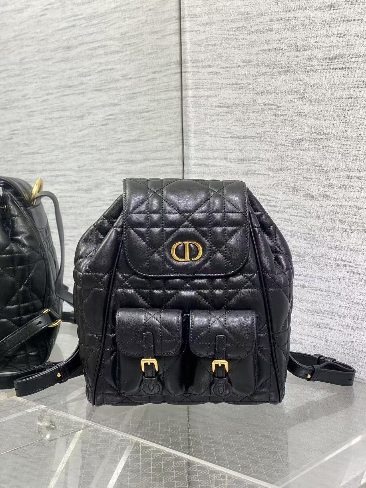 Dior Caro Backpack