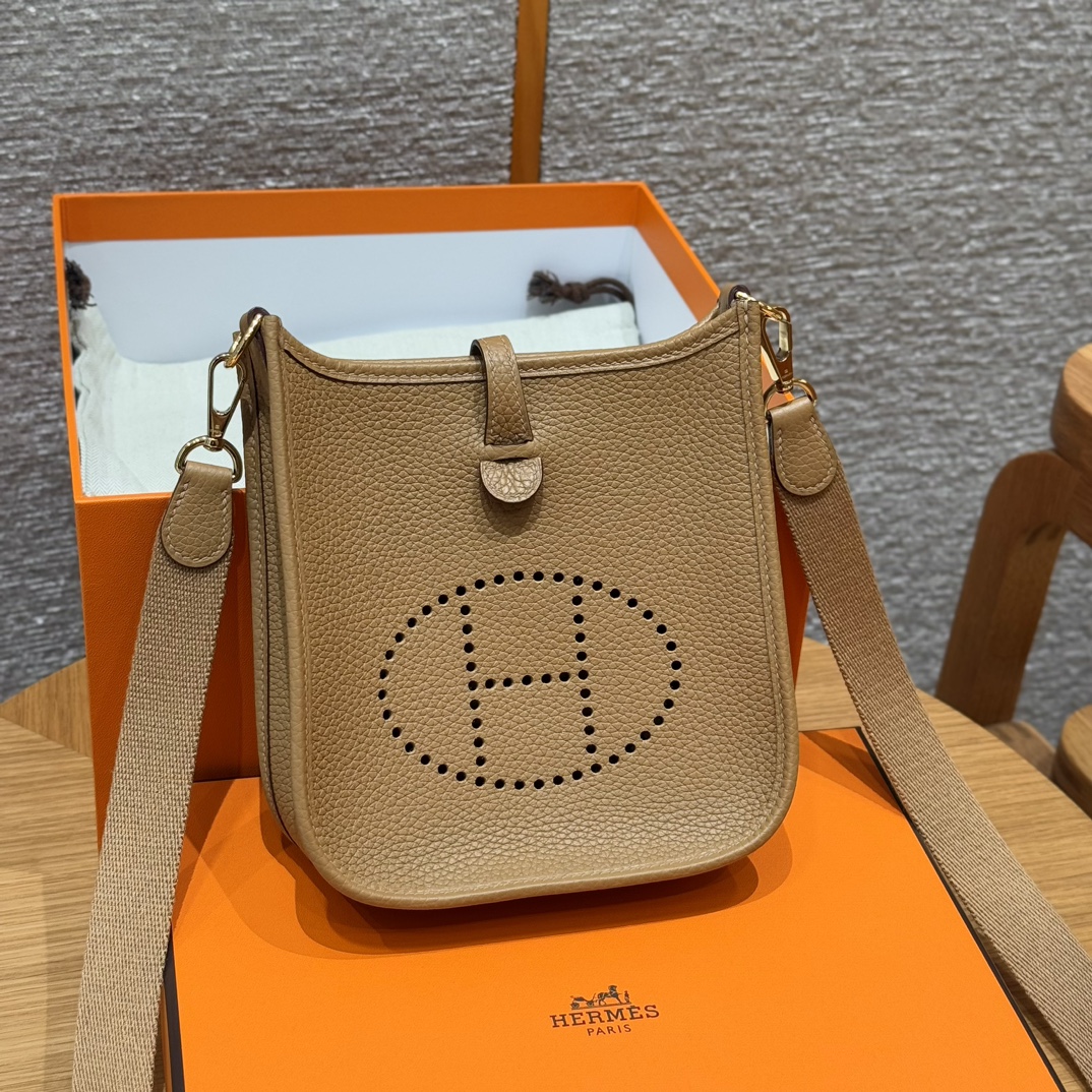 Hermes Biscuit Clemence Mini Evelyne 16