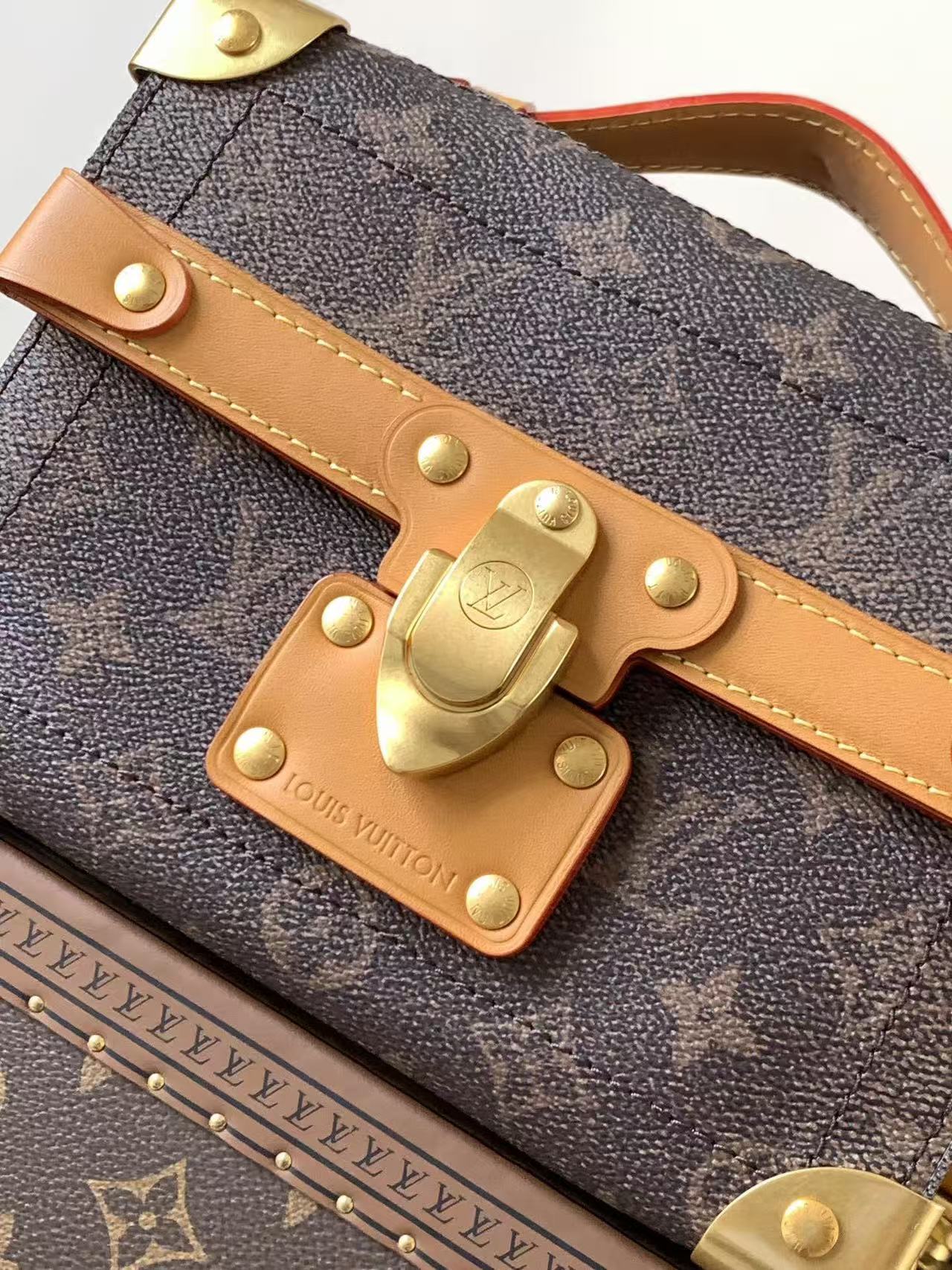 Louis Vuitton LV Soul Trunk handbag