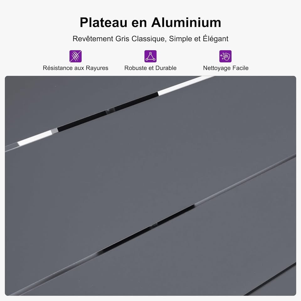 PURPLE LEAF 8 Person Outdoor Aluminum Garden Lounge Set, 9 Piece Garden Furniture Set, Modern Style in Grey, Rectangular Table with Rattan Chairs, Cushions and Pillows for Balcony