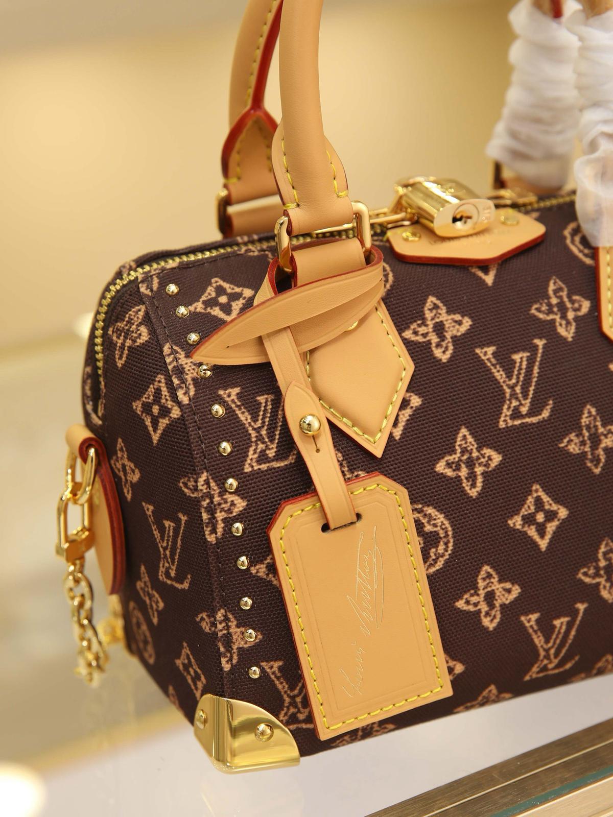 Louis Vuitton LV speedy 20 handbag
