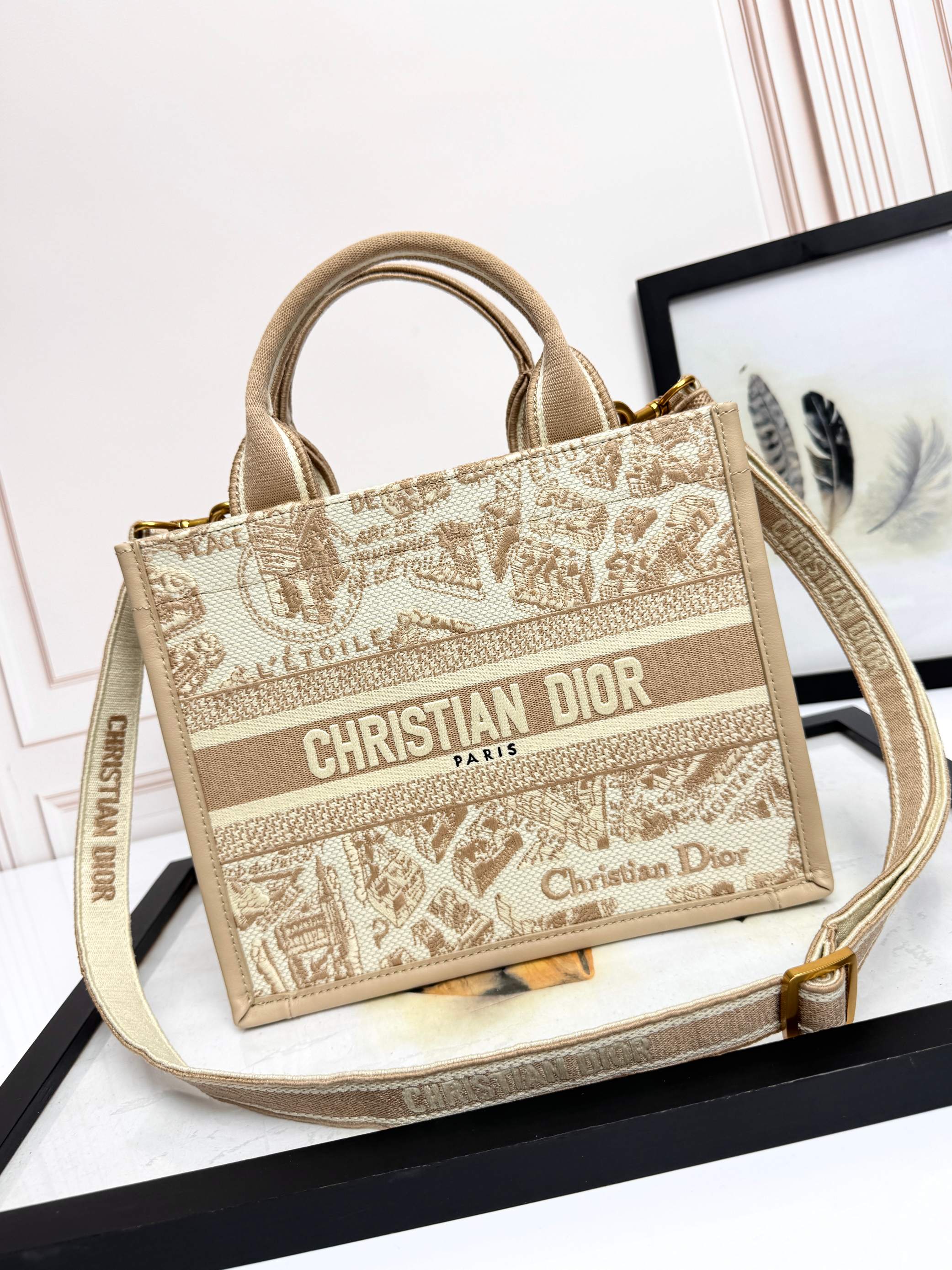 Dior Embroidered Canvas Small  Book Tote with shoulder strap