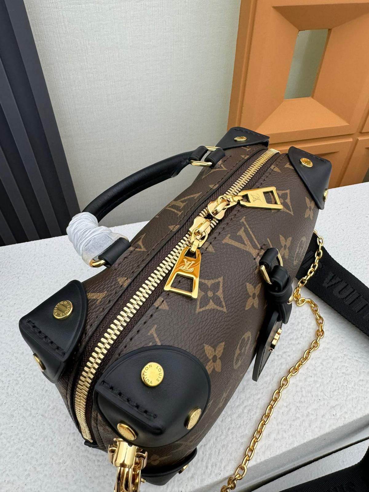 Louis Vuitton LV Petite malle souple bag