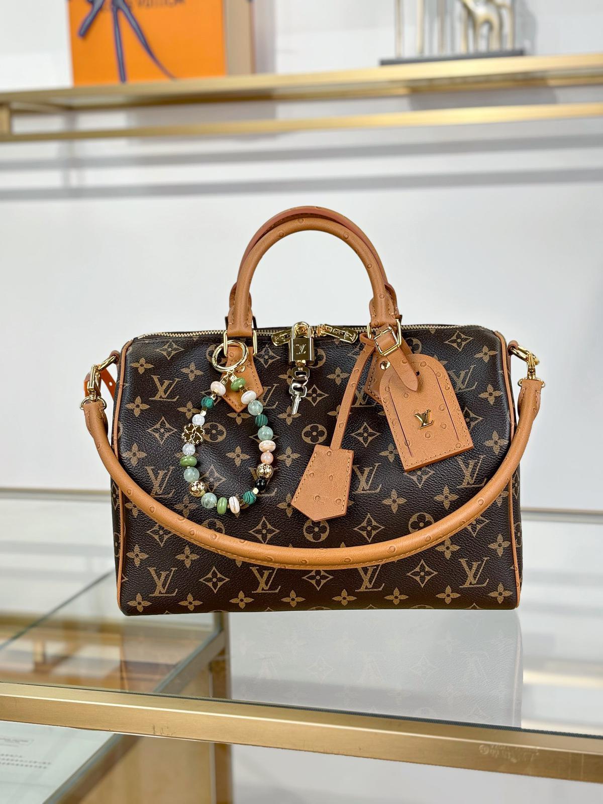 Louis Vuitton Bags SPEEDY SOFT 30 BOHO handbag