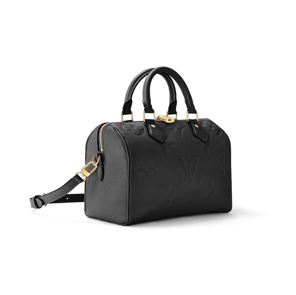 Louis Vuitton LV Speedy 25 Handbag