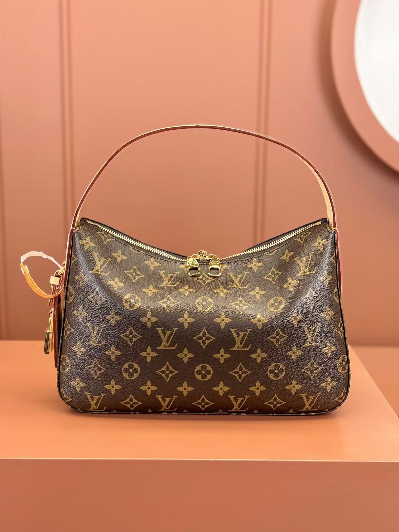 Louis Vuitton LV SLOUCHY handbag