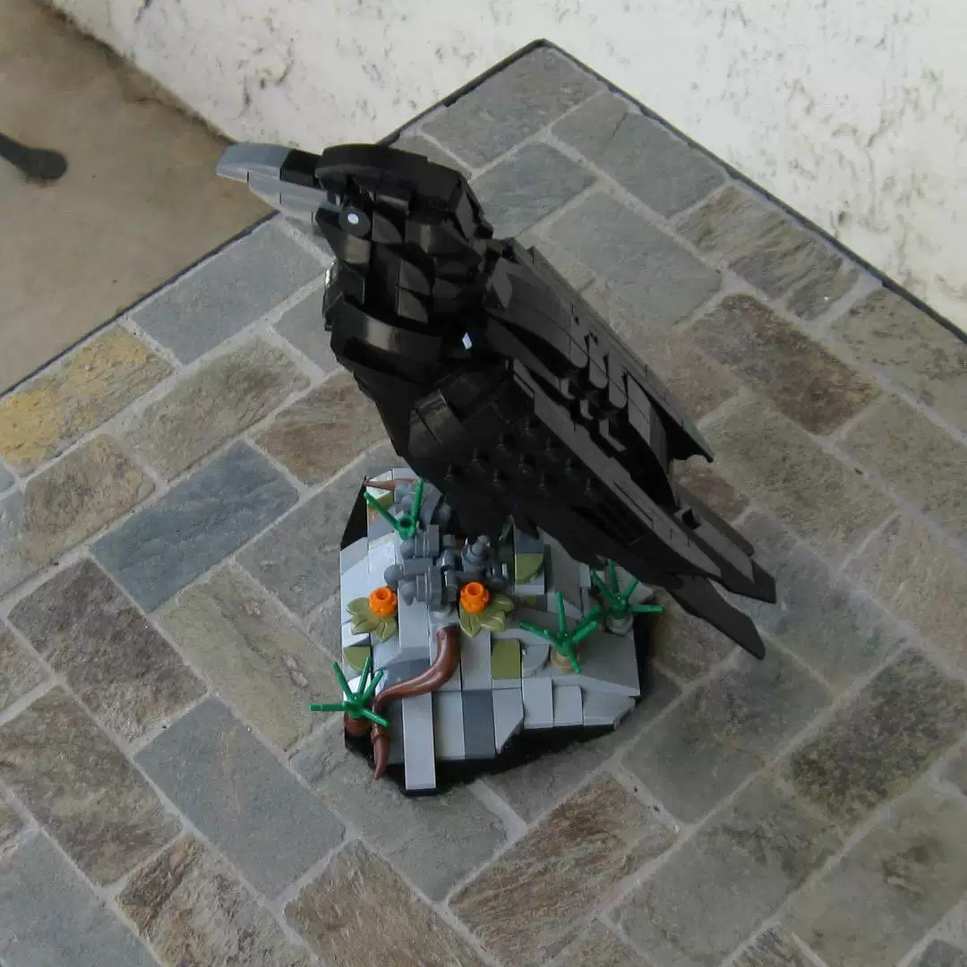 MOC 217187 - Raven