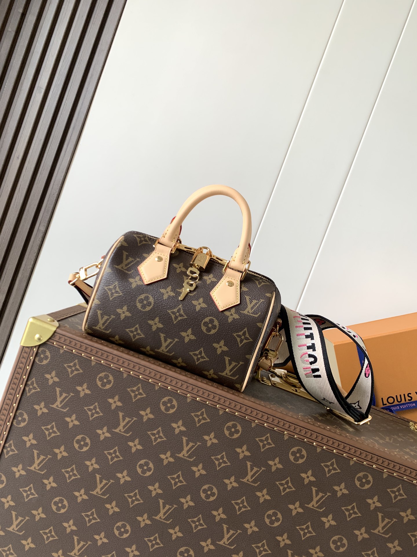 M46234 Monogram Canvas SPEEDY BANDOULIÈRE 20