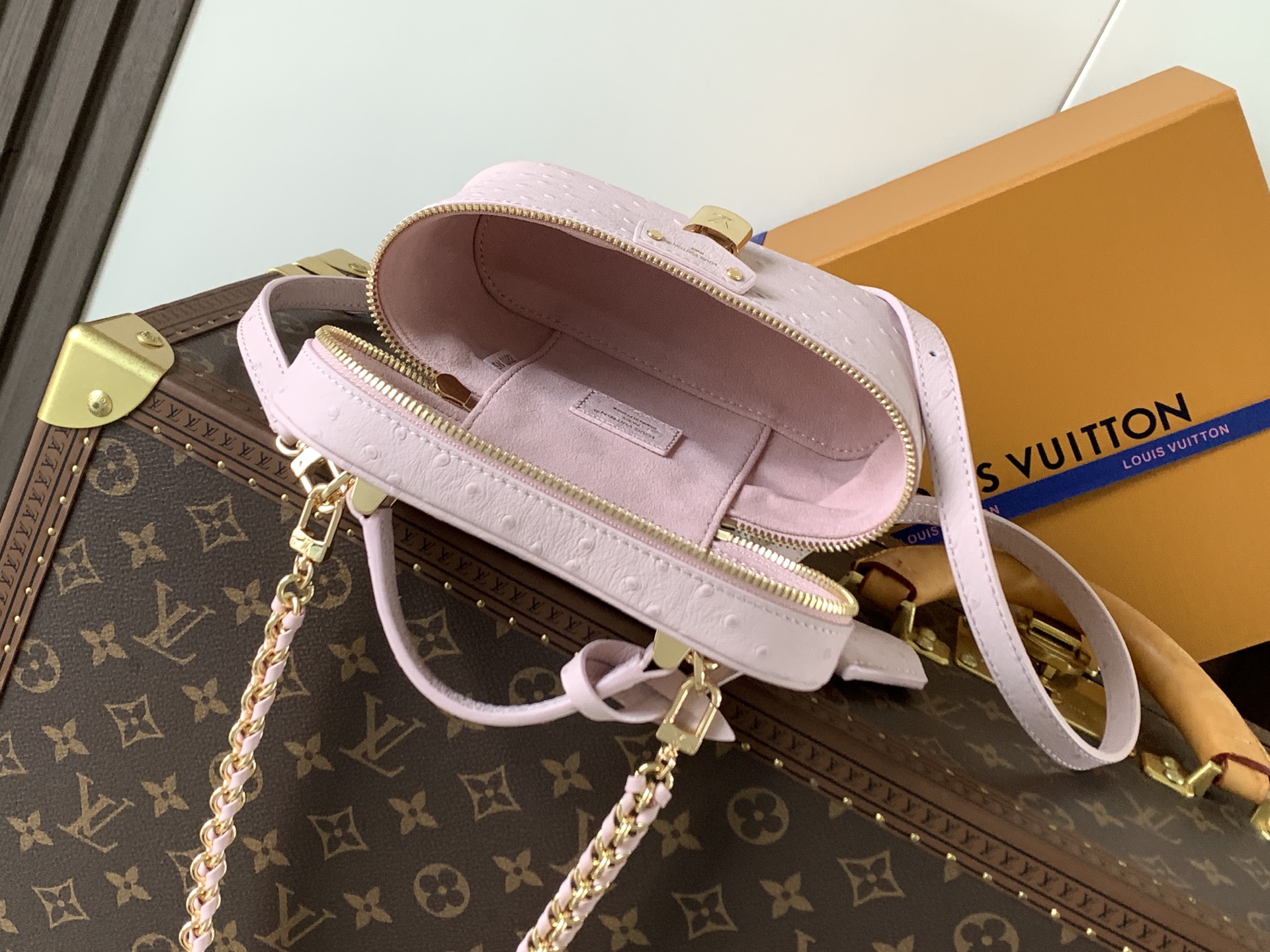 Louis Vuitton ostrich patterned Vanity Chain Pouch handbag