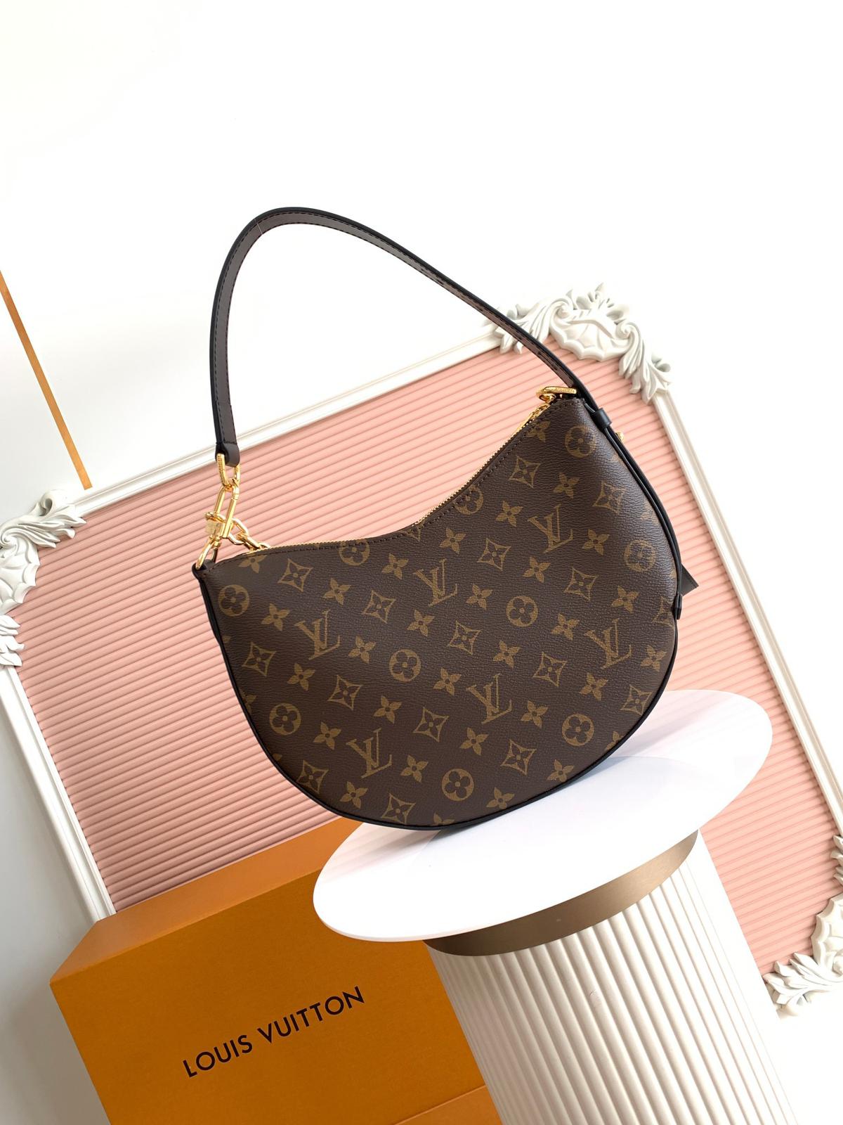 Louis Vuitton LV classic printed hobo bag