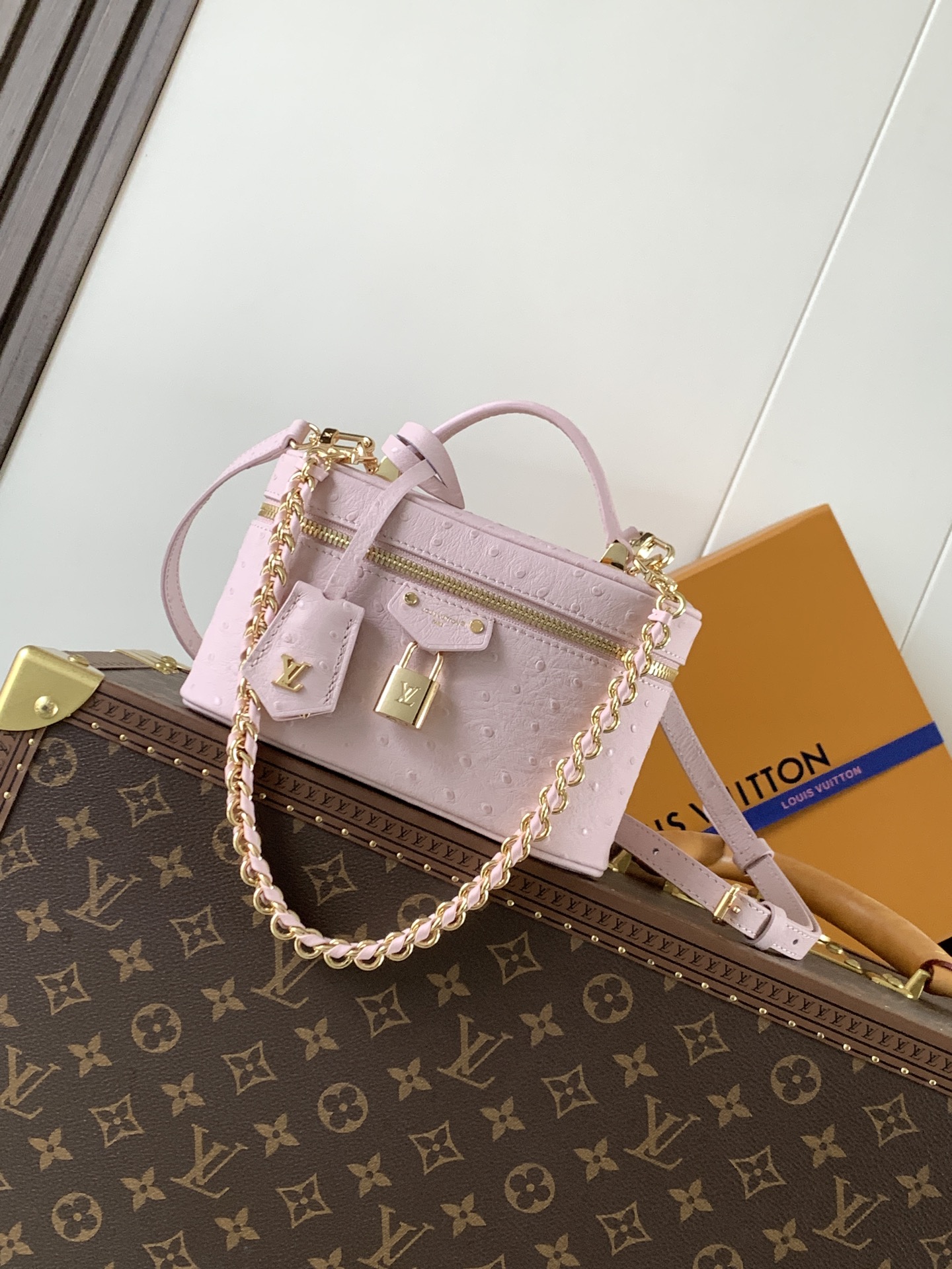 Louis Vuitton ostrich patterned Vanity Chain Pouch handbag