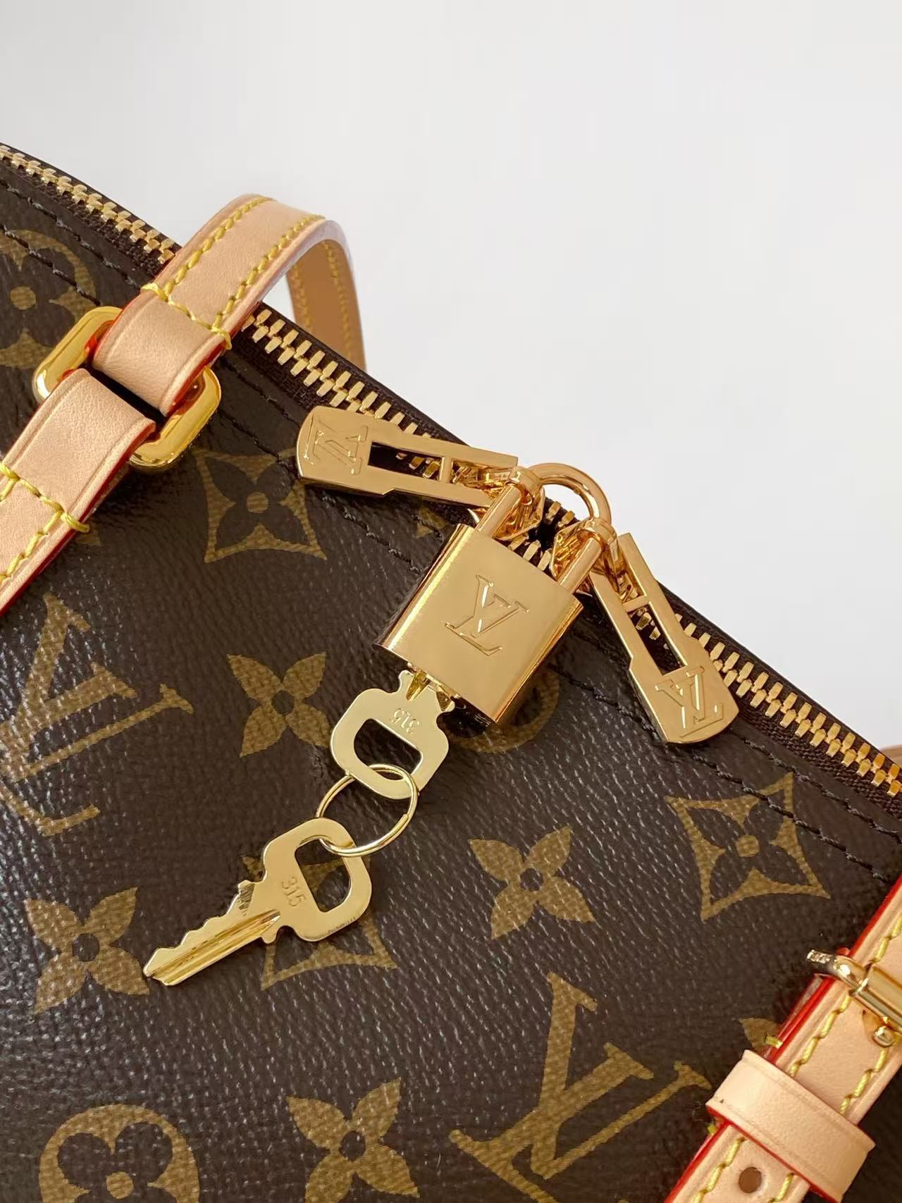 Louis Vuitton LV new shoulder bag